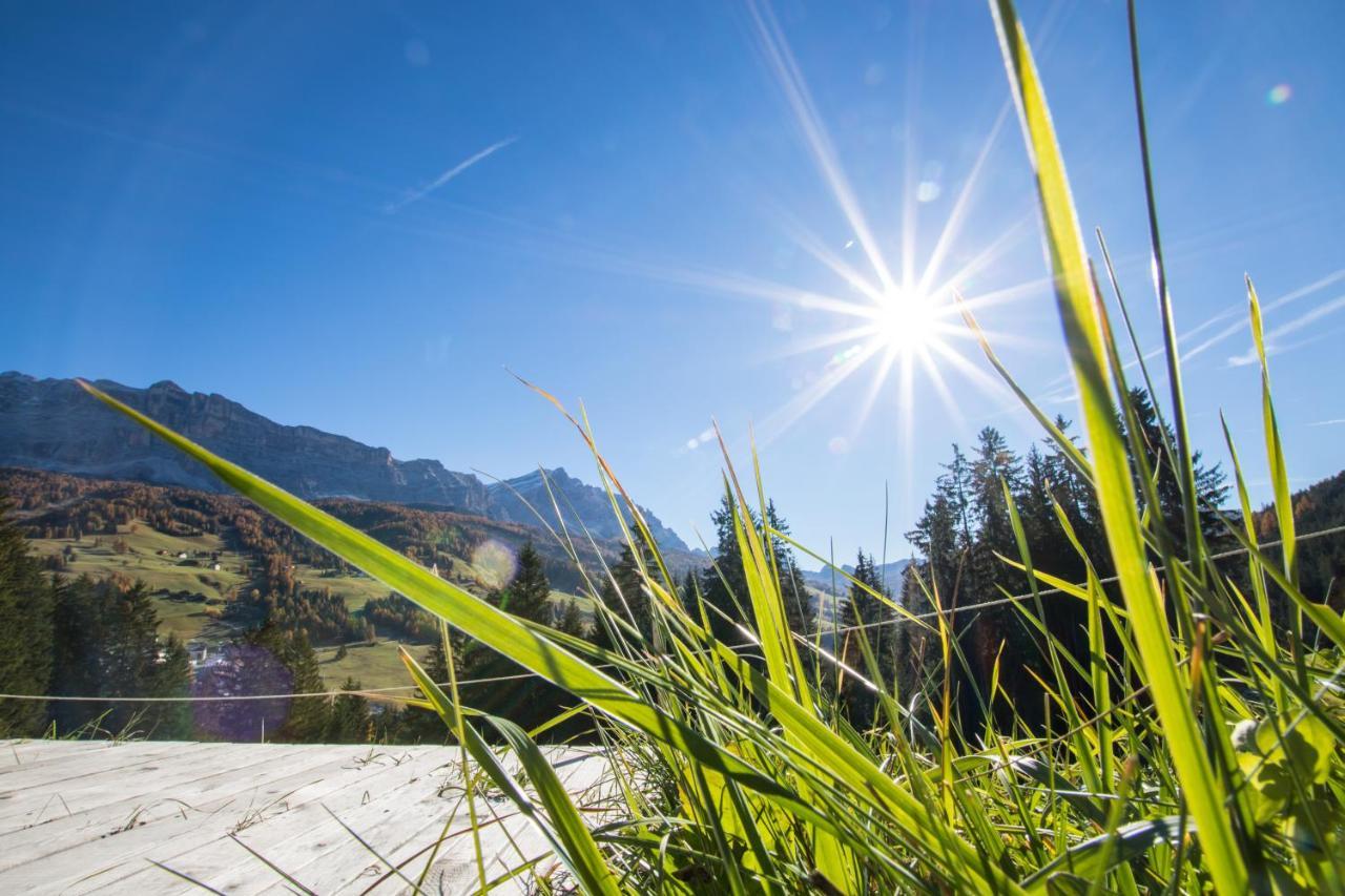 Agriturismo Maso Runch Μπαντία Εξωτερικό φωτογραφία