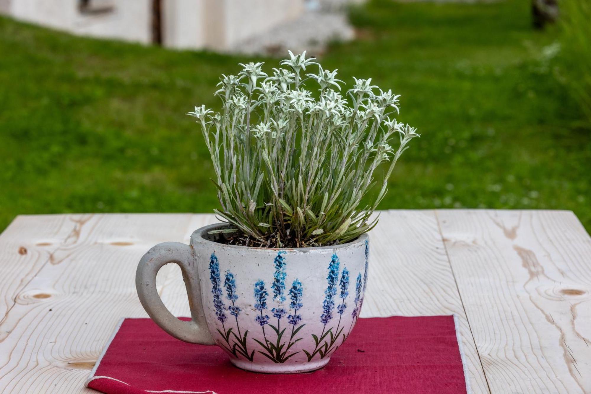 Agriturismo Maso Runch Μπαντία Εξωτερικό φωτογραφία